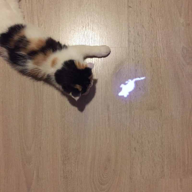 Laser Ratinho Gatos